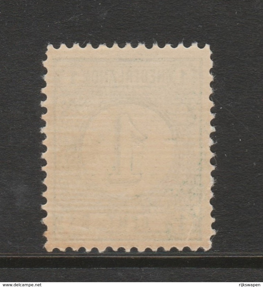 Cijfer 1894 Nr. 31a Postfris MNH  Cat.w. 20,- - Ongebruikt