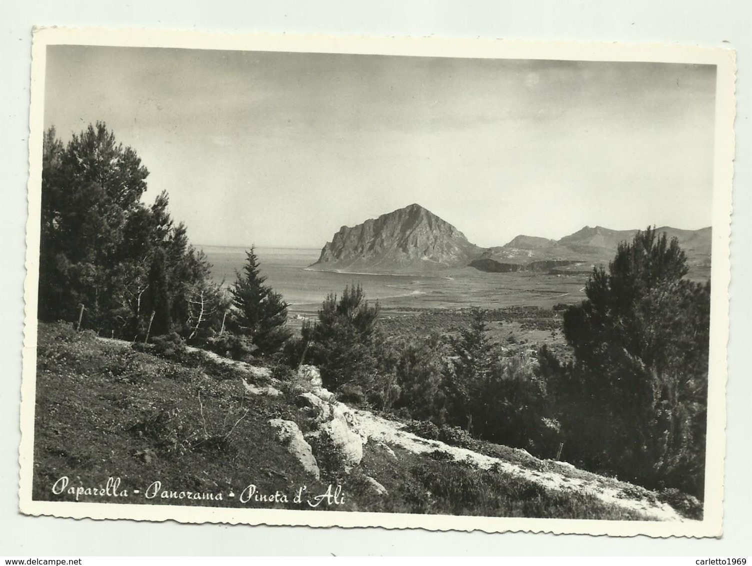 PAPARELLA - PANORAMA - PINETA D'ALI  VIAGGIATA  FG - Trapani