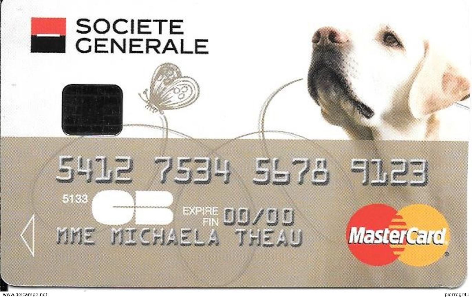 -CARTE+-PUCE-MAGNETIQUE-CB-SOCIETE GENERALE-FACTICE-MODELE-Plastic Fin GlacéTBE-RARE - Cartes Bancaires Jetables