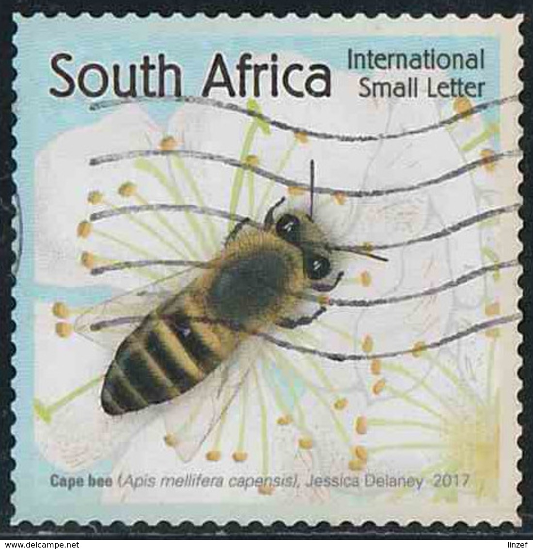 Afrique Du Sud 2017 Yv. N°1968 - Abeille Du Cap - Oblitéré - Used Stamps