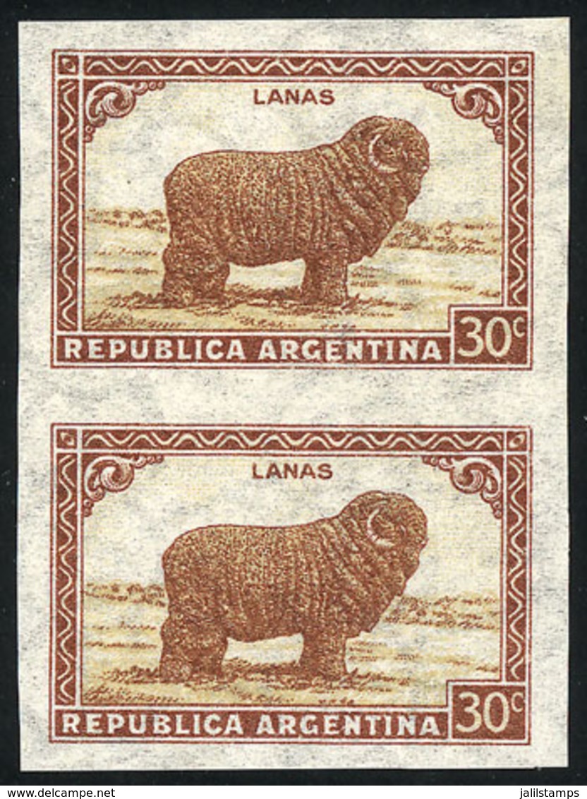 ARGENTINA: GJ.788P, 30c. Sheep, Sun With Straight Rays Wmk, Variety: IMPERFORATE PAIR, Excellent Quality! - Autres & Non Classés