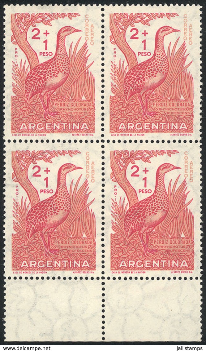 ARGENTINA: GJ.1162A, 1961 Partridge, Block Of 4 Printed On IMPORTED UNSURFACED PAPER, Excellent Quality, Rare, Catalog V - Poste Aérienne