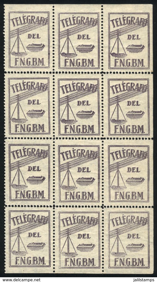 ARGENTINA: Old Telegram Seal Of F.N.G.B.M. Railway, Block Of 12, Mint No Gum, VF Quality, Rare! - Telegraphenmarken