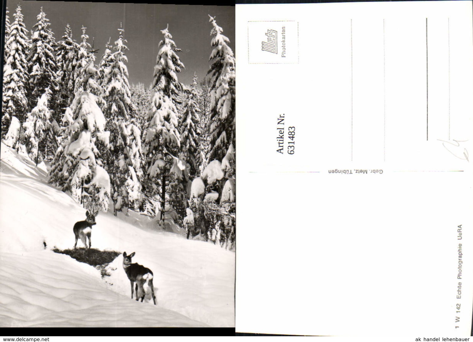 631483,Foto Ak Reh Rehe Winterlandschaft Wild Tiere - Sonstige & Ohne Zuordnung