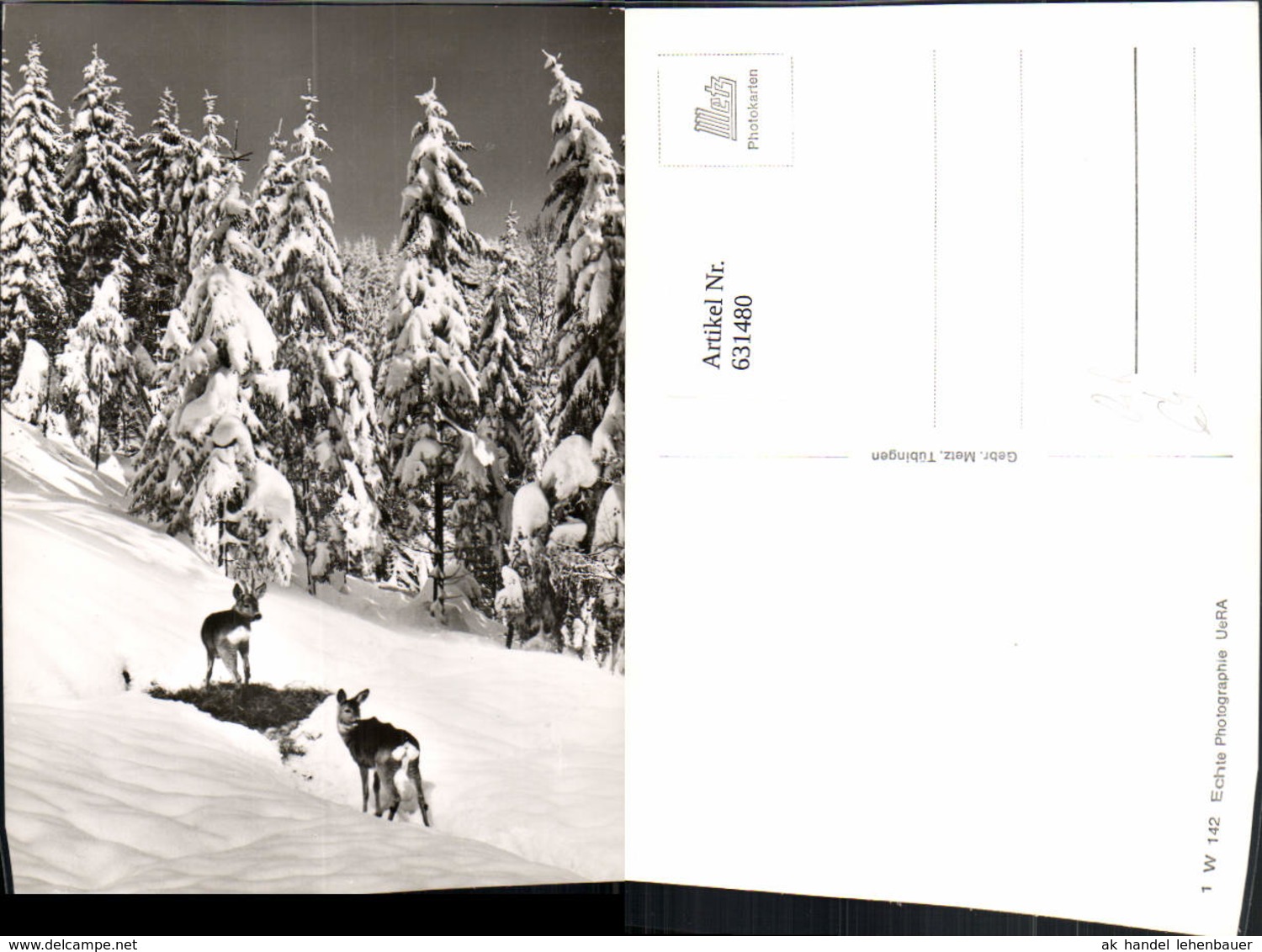 631480,Foto Ak Reh Rehe Winterlandschaft Wild Tiere - Sonstige & Ohne Zuordnung