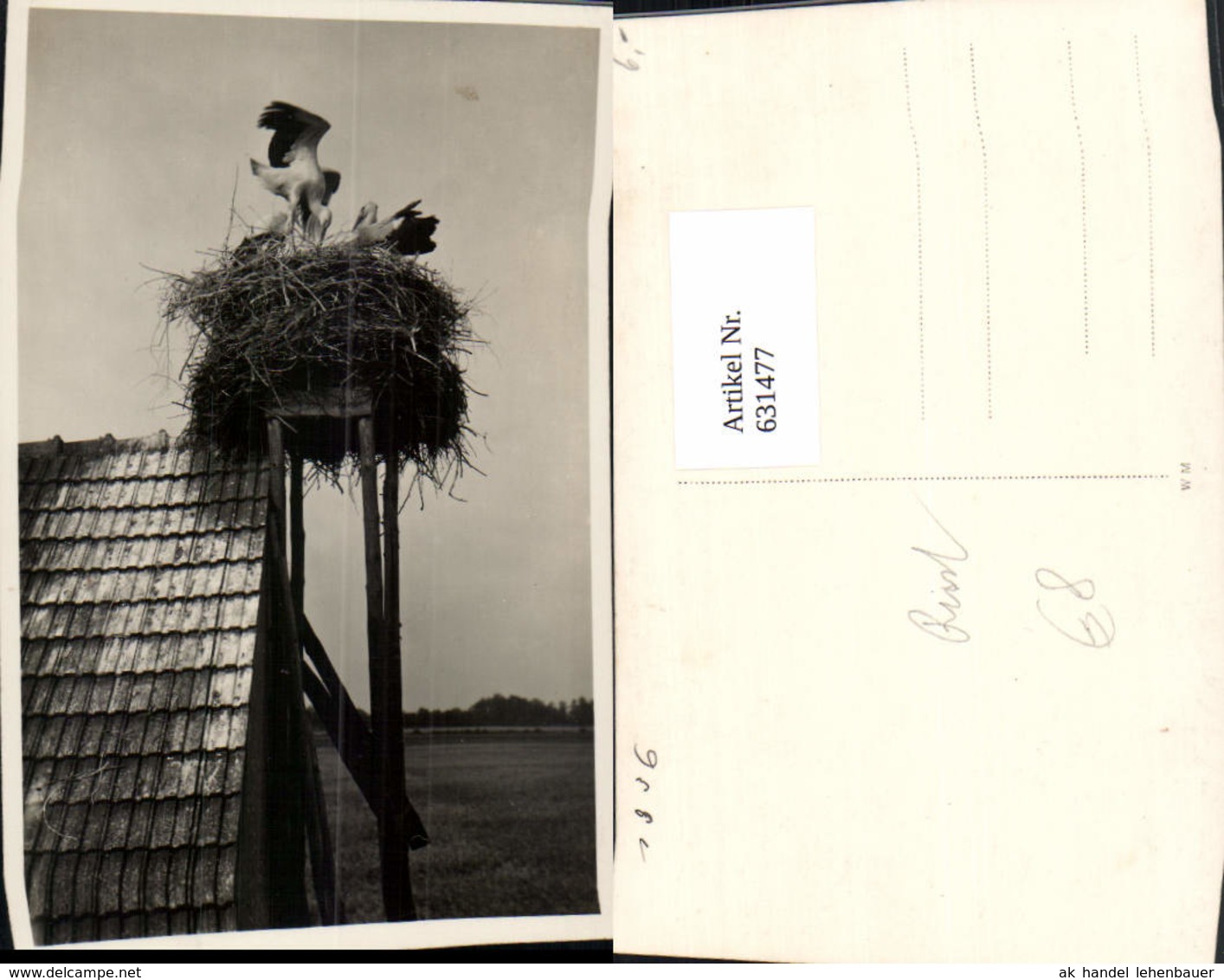 631477,Foto Ak Storchennest Auf Haus Storch St&ouml;rche Rust 1936 Tiere - Sonstige & Ohne Zuordnung