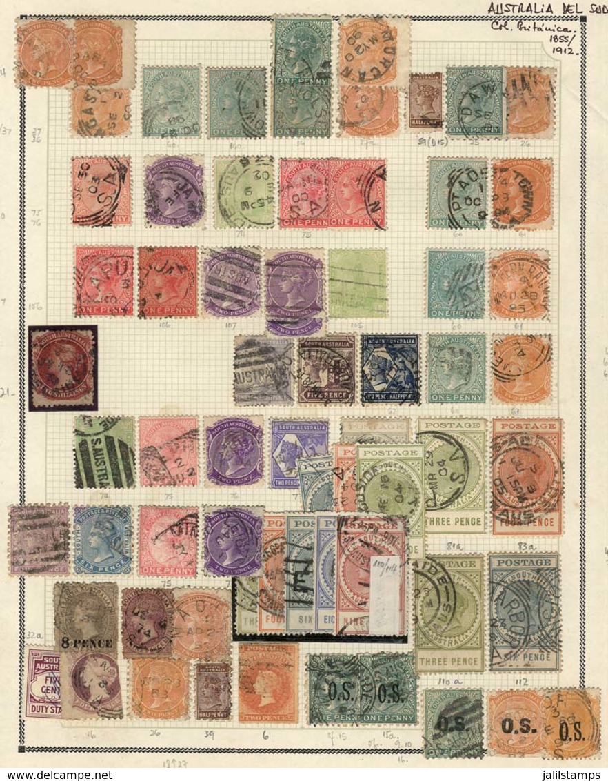 AUSTRALIA: AUSTRALIAN STATES: Beautiful Collection On Album Pages, With Used Or Mint Stamps, Most Of Fine Quality (some  - Other & Unclassified