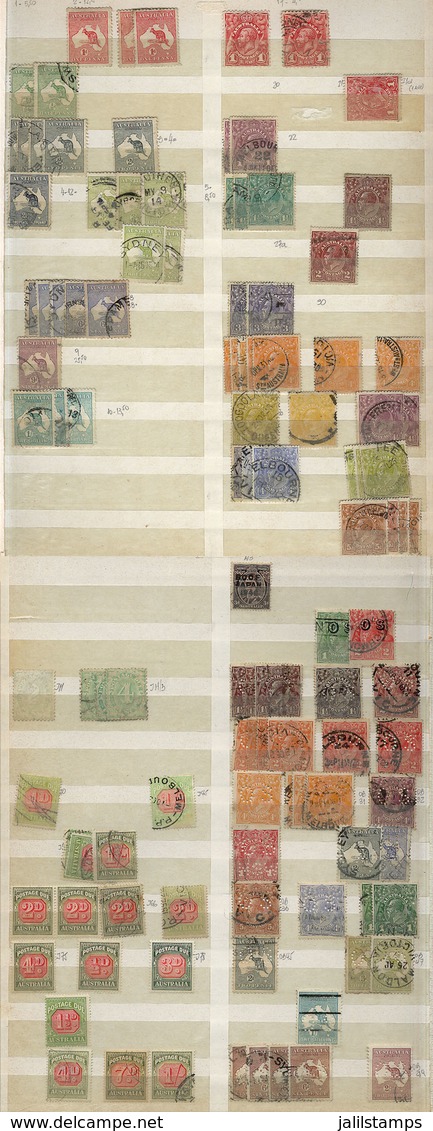 AUSTRALIA: Important Accumulation On Stock Pages, Including Used Or Mint Stamps Of All Periods, With Several Postage Due - Andere & Zonder Classificatie