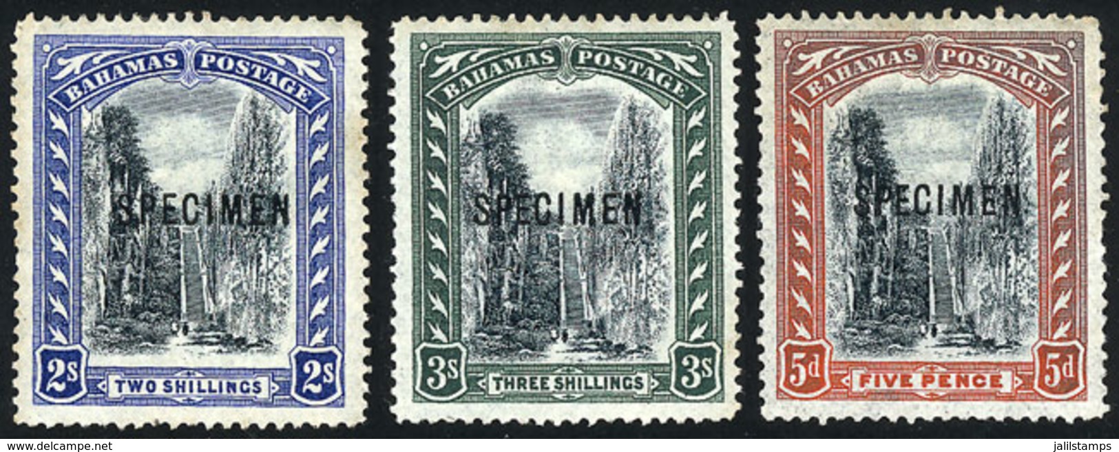 BAHAMAS: Sc.33/36, 1901 Cmpl. Set Of 3 Values With SPECIMEN Ovpt., Mint No Gum, VF Quality, Catalog Value US$165. - Sonstige & Ohne Zuordnung