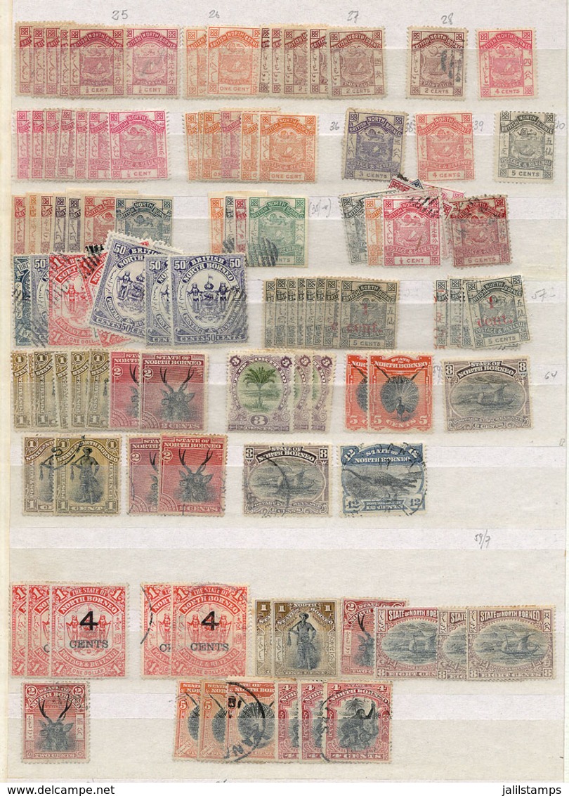 NORTH BORNEO: Lot Of Old Stamps In Stock Pages, Used (some With Datestamps) Or Mint (several With Original GUM), Very Fi - Borneo Septentrional (...-1963)