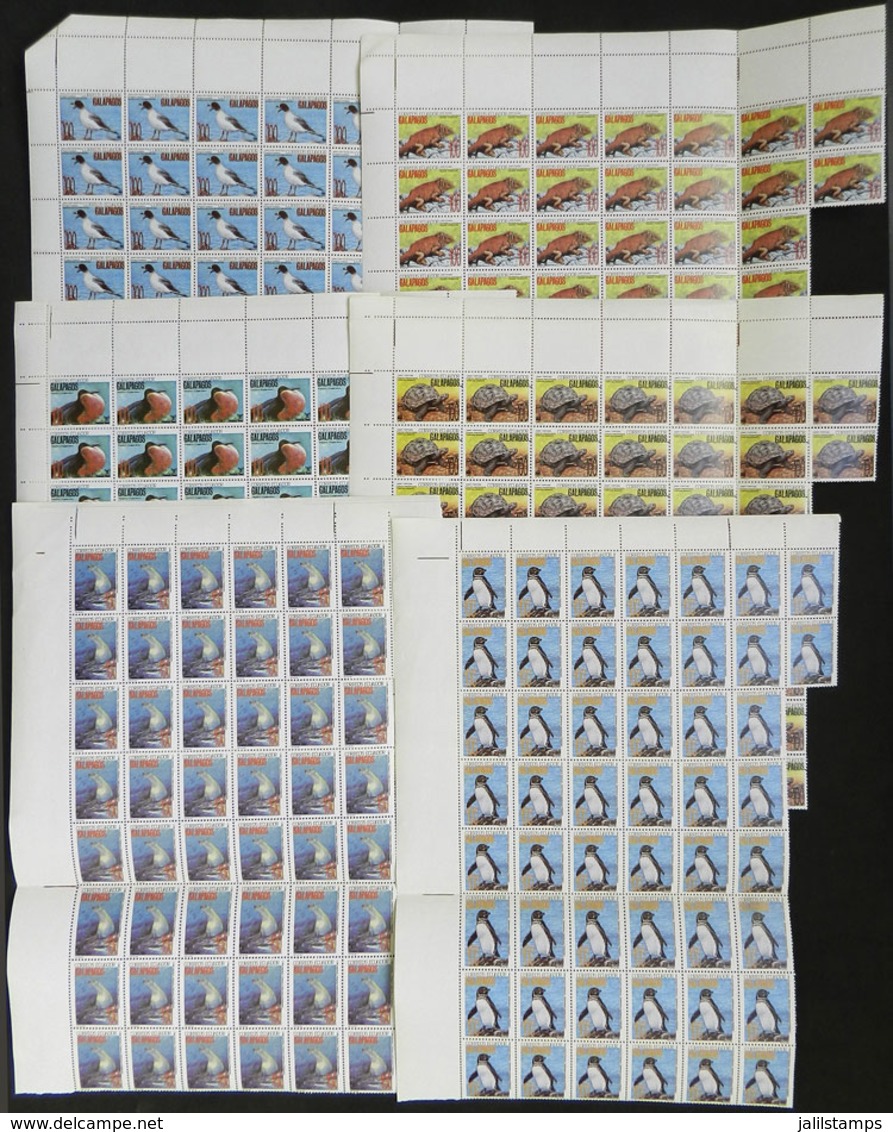 ECUADOR: Sc.1281/1286, 1992 Fauna Of Galapago Islands, Cmpl. Set Of 6 Values In Blocks Of 50 (total 50 Sets), Catalog Va - Ecuador