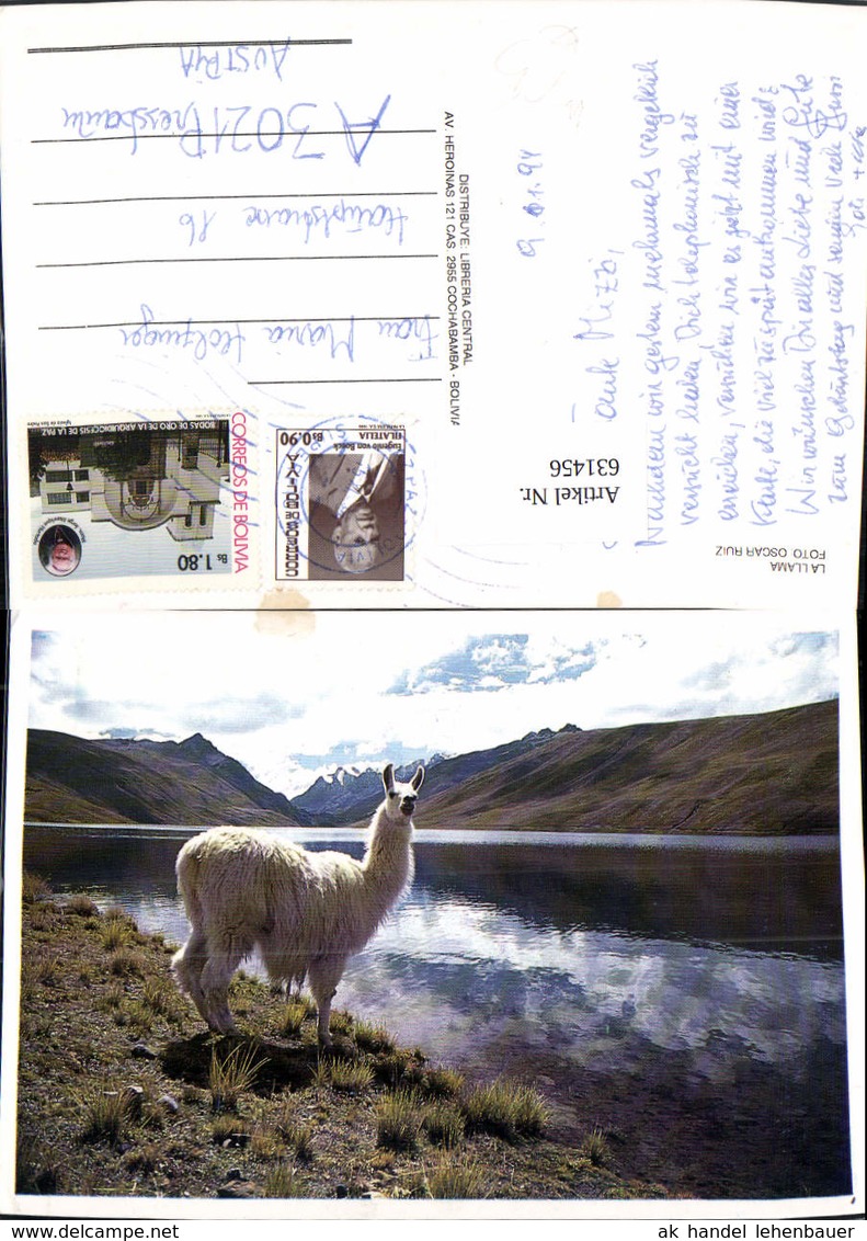 631456,La Llama Bolivien Tiere - Sonstige & Ohne Zuordnung