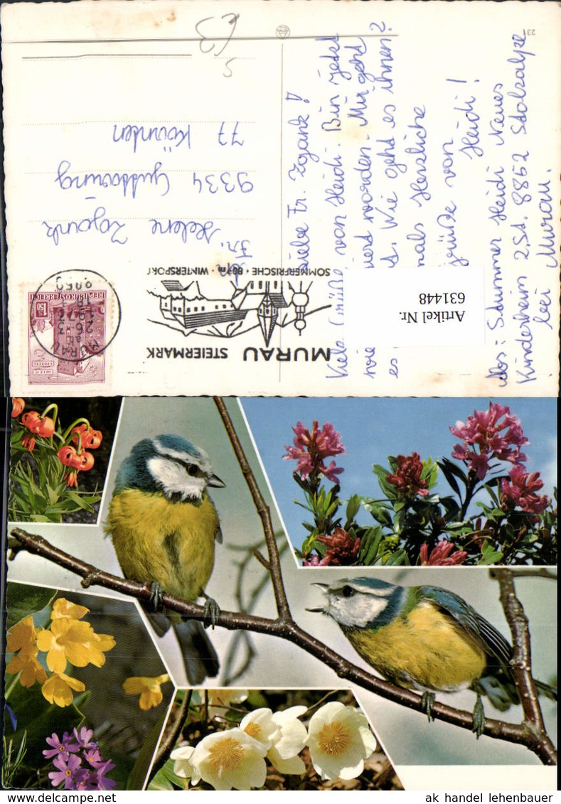 631448,Mehrbild Ak Blaumeise V&ouml;gel Blumen Tiere Stempel Murau Steiermark - Vögel