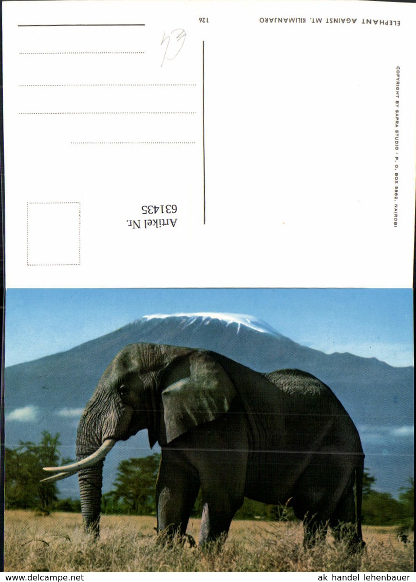 631435,Elephant Against Mt. Kilimanjaro Elefant Tiere - Sonstige & Ohne Zuordnung