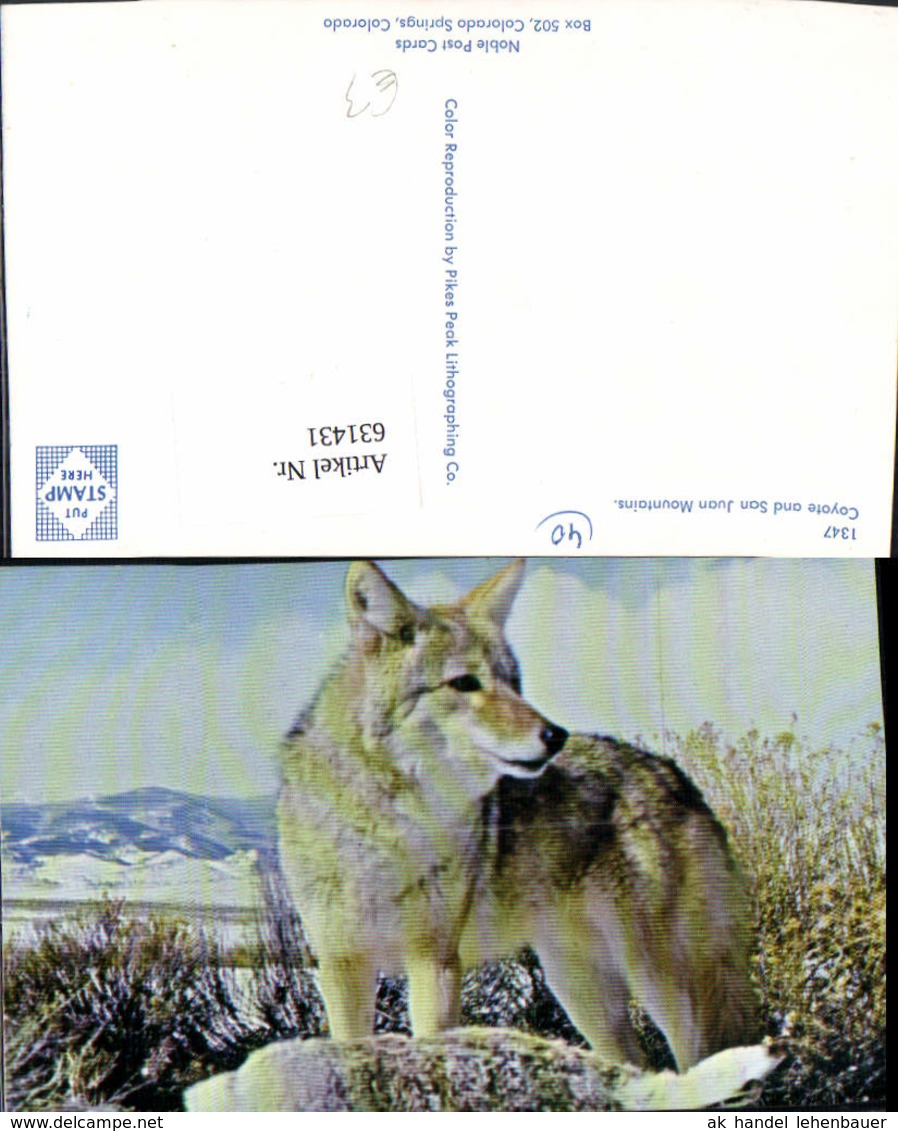 631431,Coyote And San Juan Mountains Kojote Tiere - Sonstige & Ohne Zuordnung