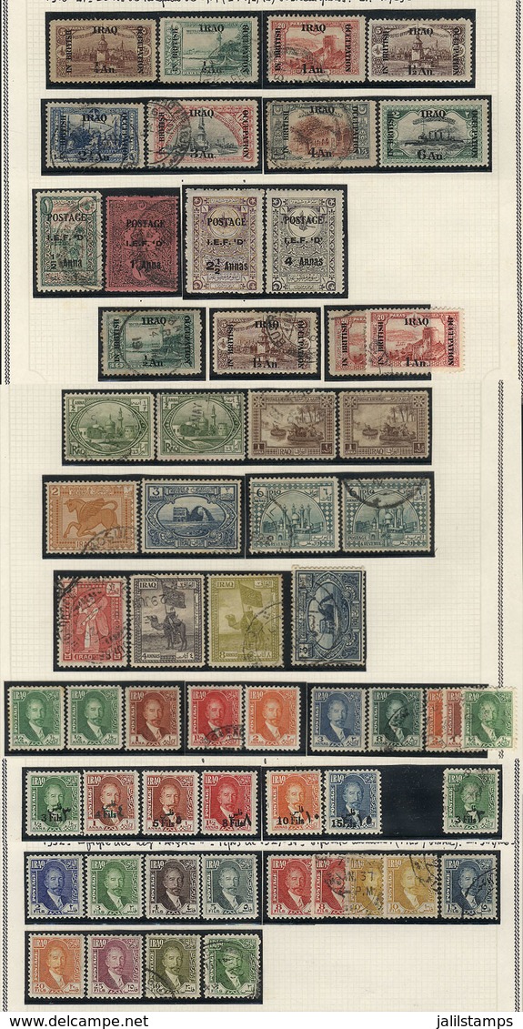 IRAQ: Collection On Pages, With Mint (mostly Lightly Hinged And Few Without Gum In Earlier Issues, And MNH In Modern Iss - Iraq