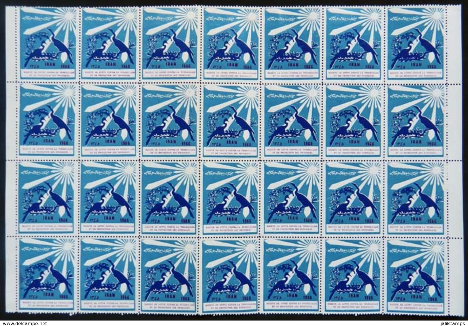 IRAN: FIGHT AGAINST TUBERCULOSIS: 1966 Issue, Large Block Of 28 Cinderellas, MNH, 2 Or 3 With Defects, Excellent General - Erinofilia