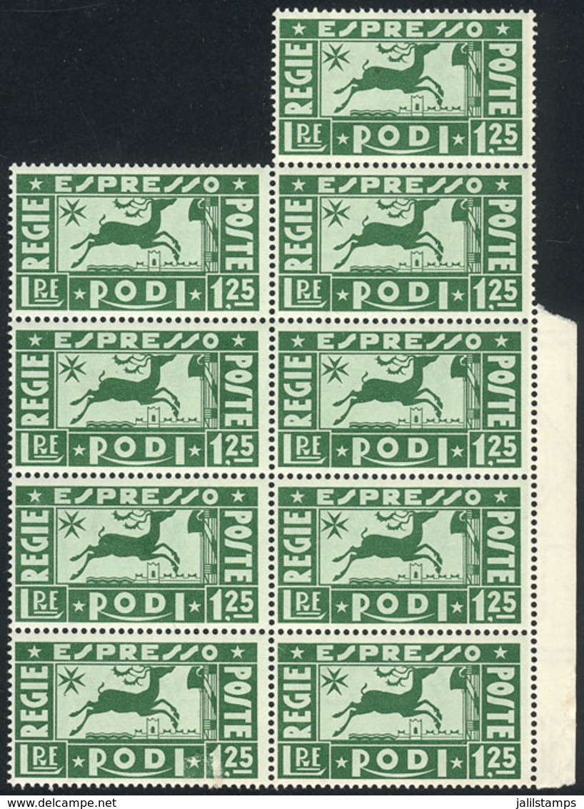 ITALY - RODI: Sc.E1, 1936 1.25L. In Block Of 9 Stamps, MNH, VF! - Egée (Rodi)