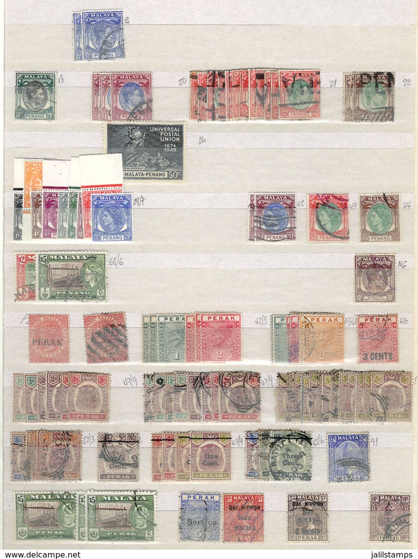 MALAYA + STATES: Large Number Of Stamps Of All Periods, Used Or Mint, On Stock Pages, Very Fine General Quality, Good Op - Malaya (British Military Administration)