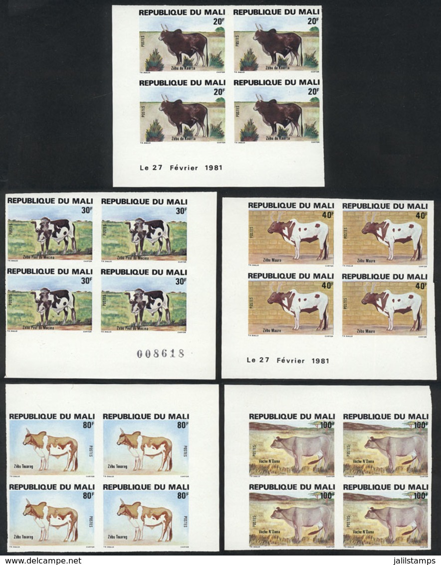 MALI: Yv.417/421, 1981 Fauna (bovine), Complete Set Of 5 Values, IMPERFORATE BLOCKS OF 4, VF Quality! - Mali (1959-...)