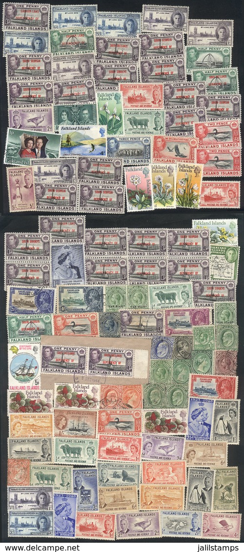 FALKLANDS ISLANDS/MALVINAS: Lot Of Stamps Of Varied Periods, Used Or Mint (some May Be Without Gum), Fine To VF General  - Falklandinseln
