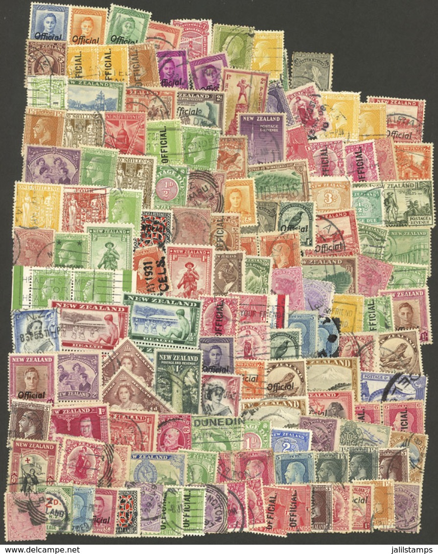 NEW ZEALAND: Envelope With A Good Number Of Stamps And Souvenir Sheets Of Varied Countries And Periods, Most Of Fine Qua - Sonstige & Ohne Zuordnung