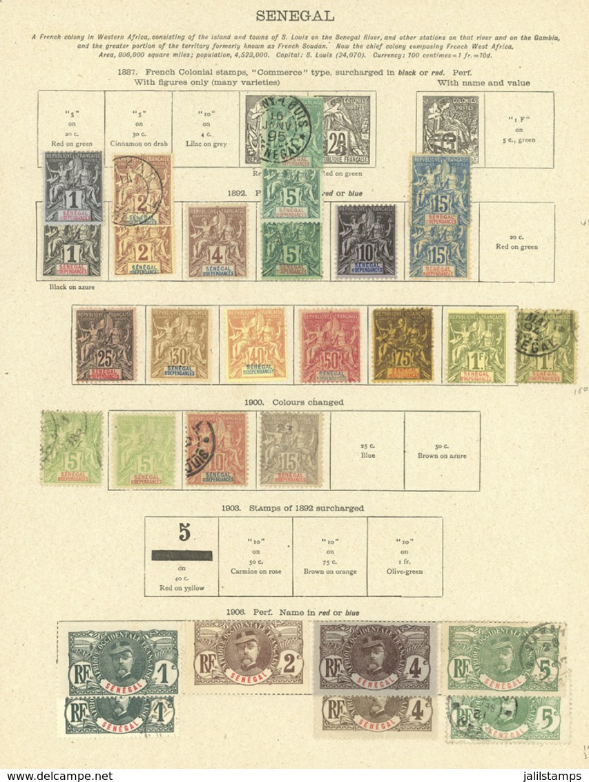 SENEGAL: Old Collection On Album Pages, Including Interesting Stamps And Of Good Catalog Value, Good Opportunity! IMPORT - Sénégal (1960-...)