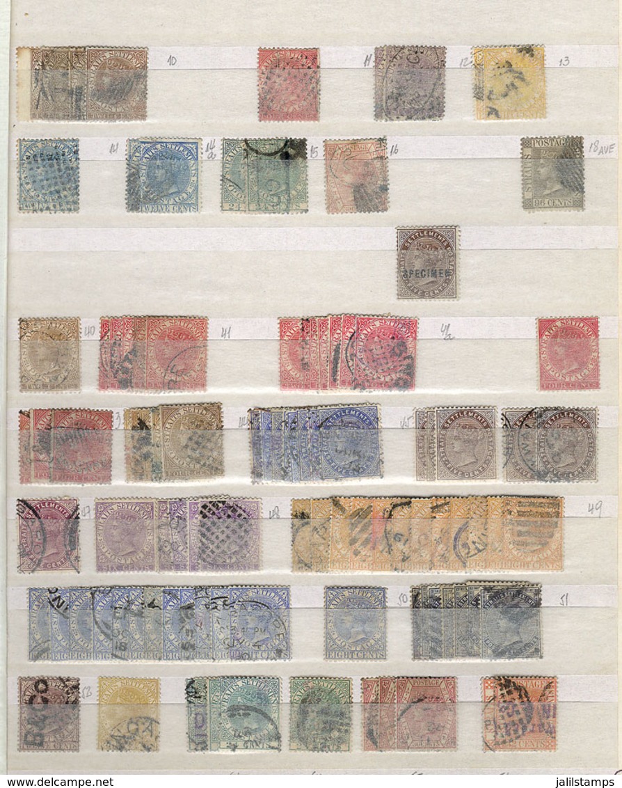 STRAITS SETTLEMENTS: Interesting Stock Of Used Or Mint Stamps (few With SPECIMEN Overprint) On Stock Cards, The General  - Straits Settlements