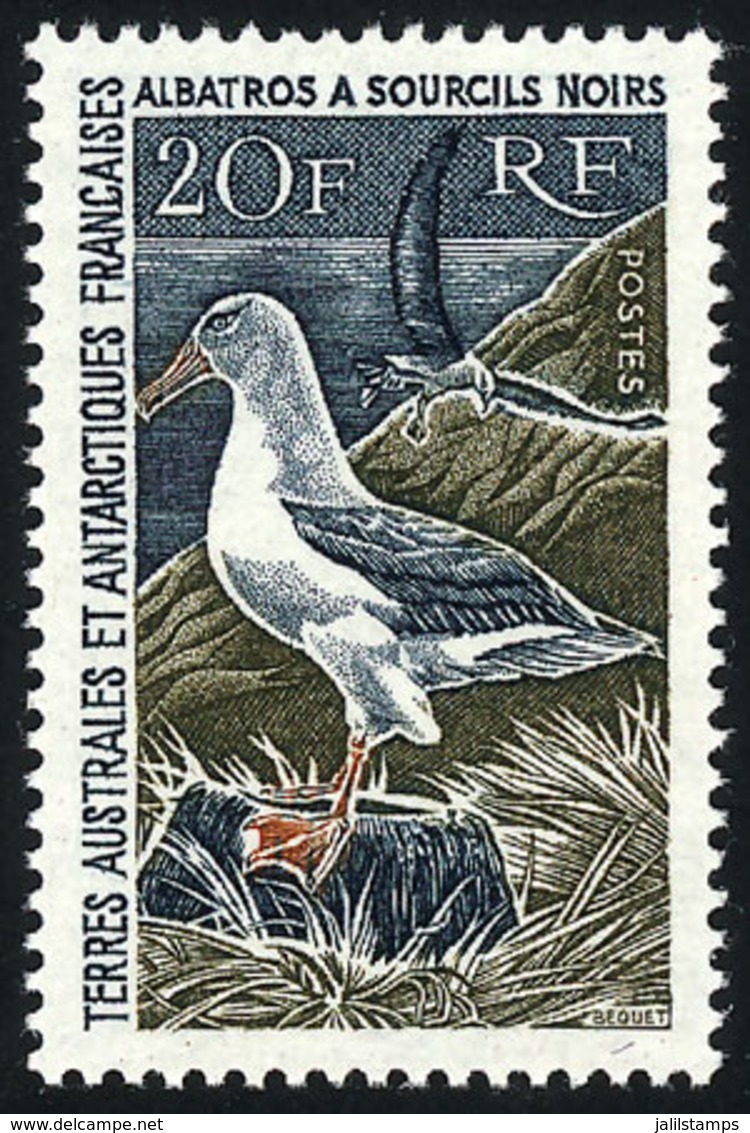 TAAF: Sc.28, 1968 20Fr. Albatross, MNH, Excellent Quality, Catalog Value US$350. - Sonstige & Ohne Zuordnung