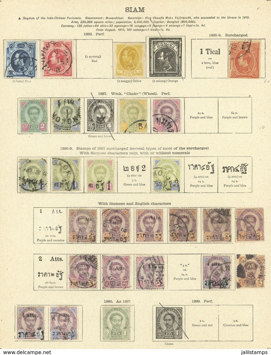 THAILAND: Old Collection On Album Pages, Including Interesting Stamps And Of Good Catalog Value, Good Opportunity! IMPOR - Tailandia