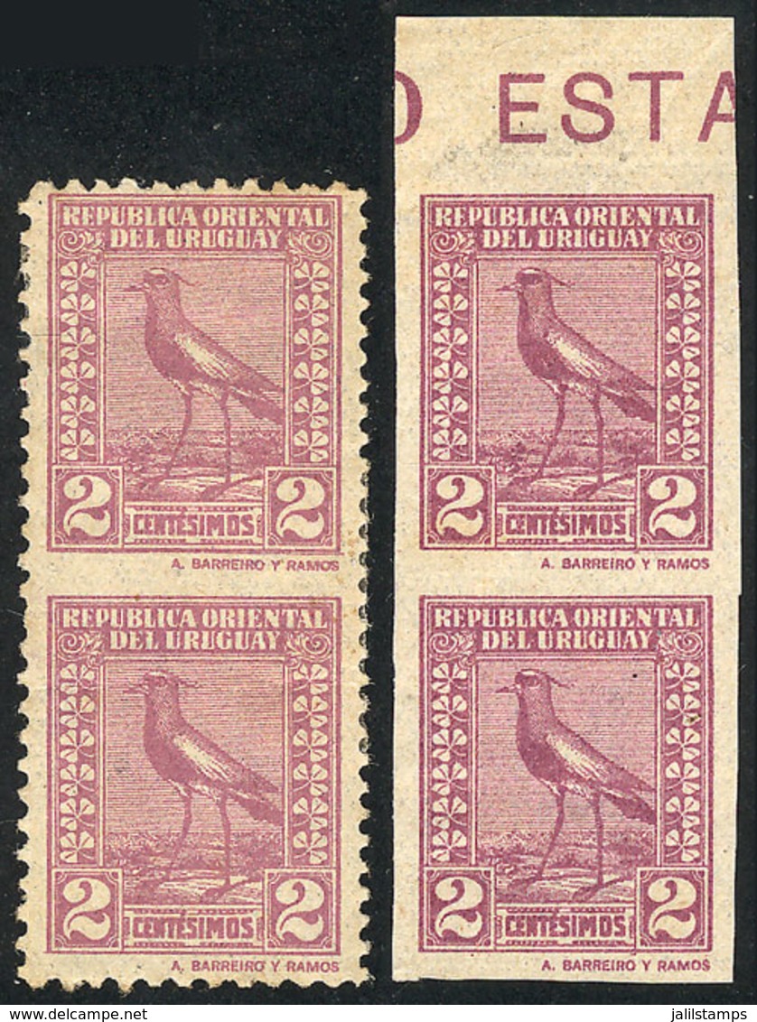 URUGUAY: Sc.287, 1924 Tero Southern Lapwing 2c., Imperforate Pair + Pair Imperforate Between, Mint No Gum, Tiny Defect ( - Uruguay
