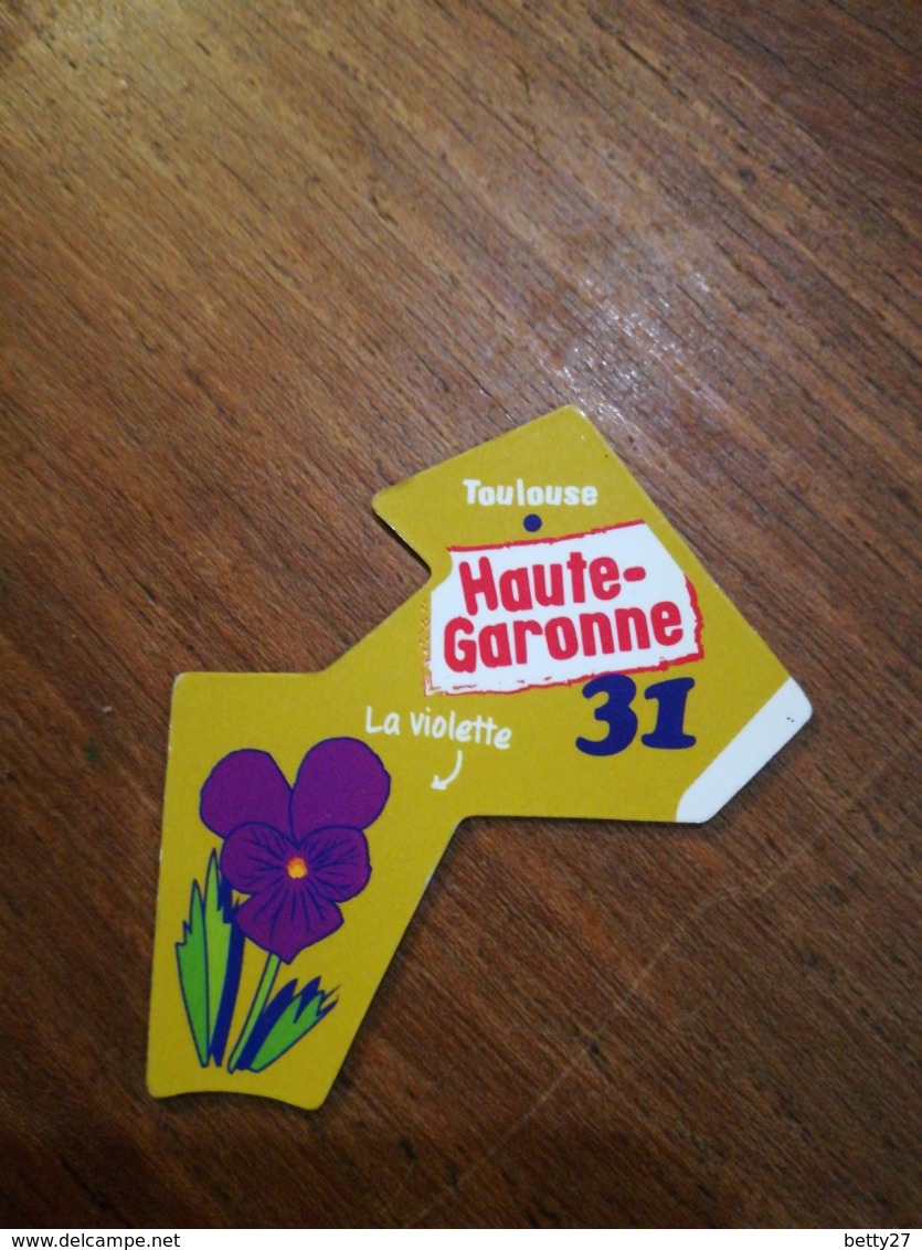 Magnet Le Gaulois Nouveau Département 31 HAUTE GARONNE TOULOUSE La Violette. VERT - Magnets