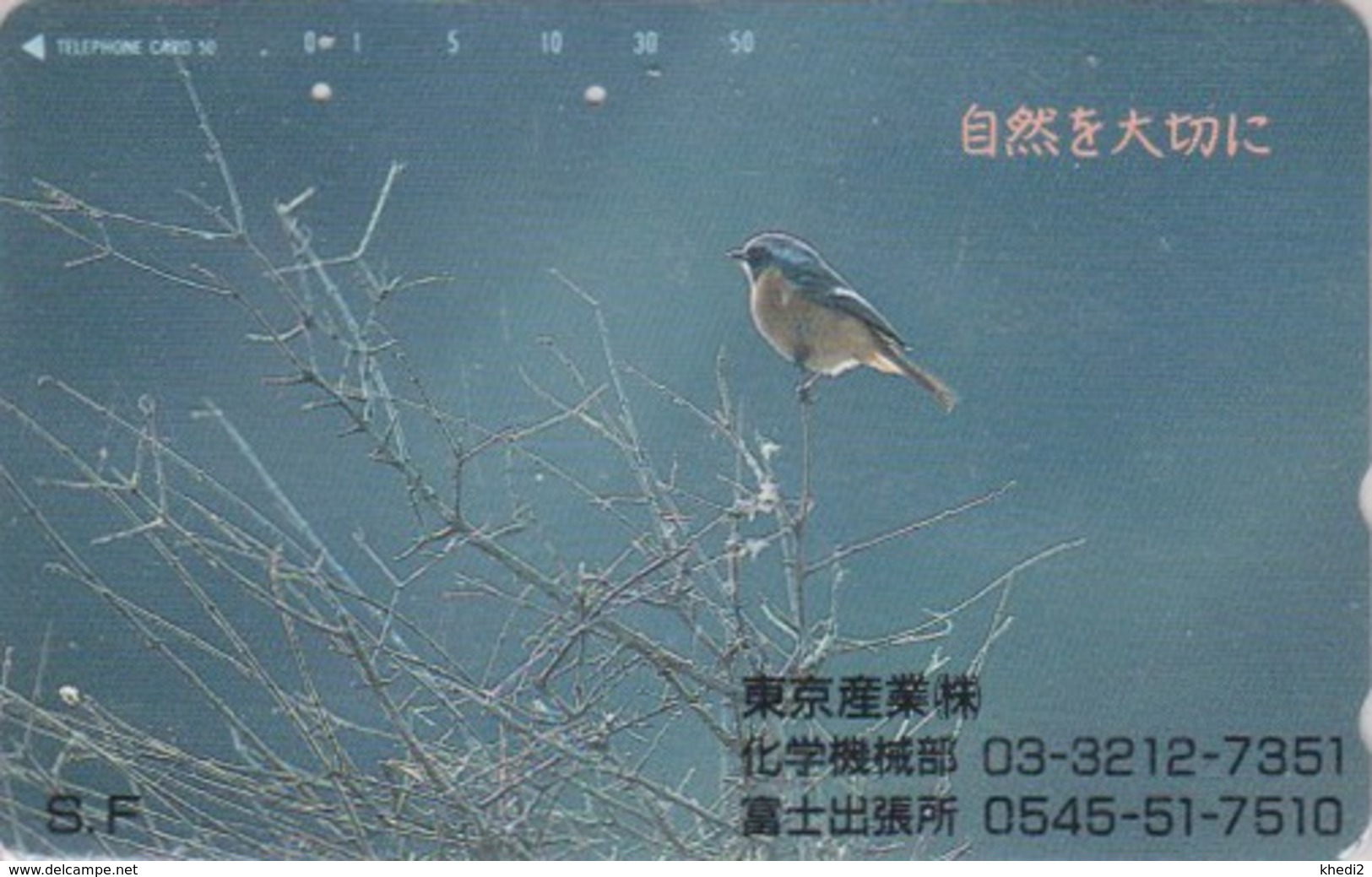 Télécarte Japon / 110-140904 - Animal - OISEAU Passereau - GOBEMOUCHE - FLYCATCHER BIRD Japan Phonecard - 4456 - Passereaux