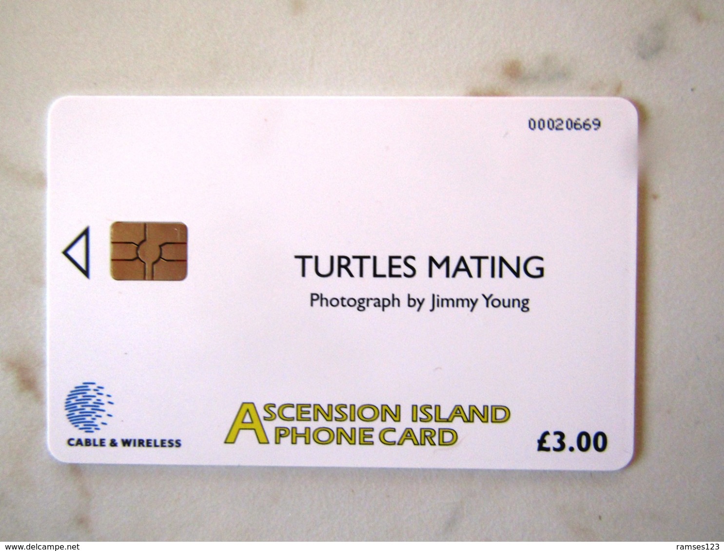 ASCENSION ISLAND  TURTLES TORTUES - Ascension (Ile De L')