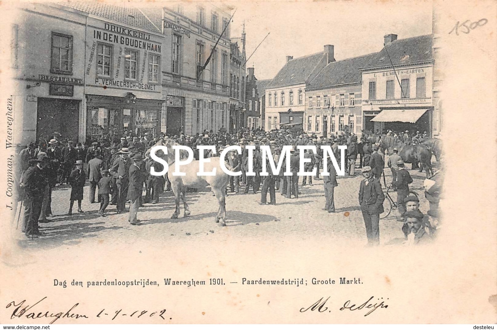 Dag Den Paardenloopstrijden 1901 - Waregem - Waregem