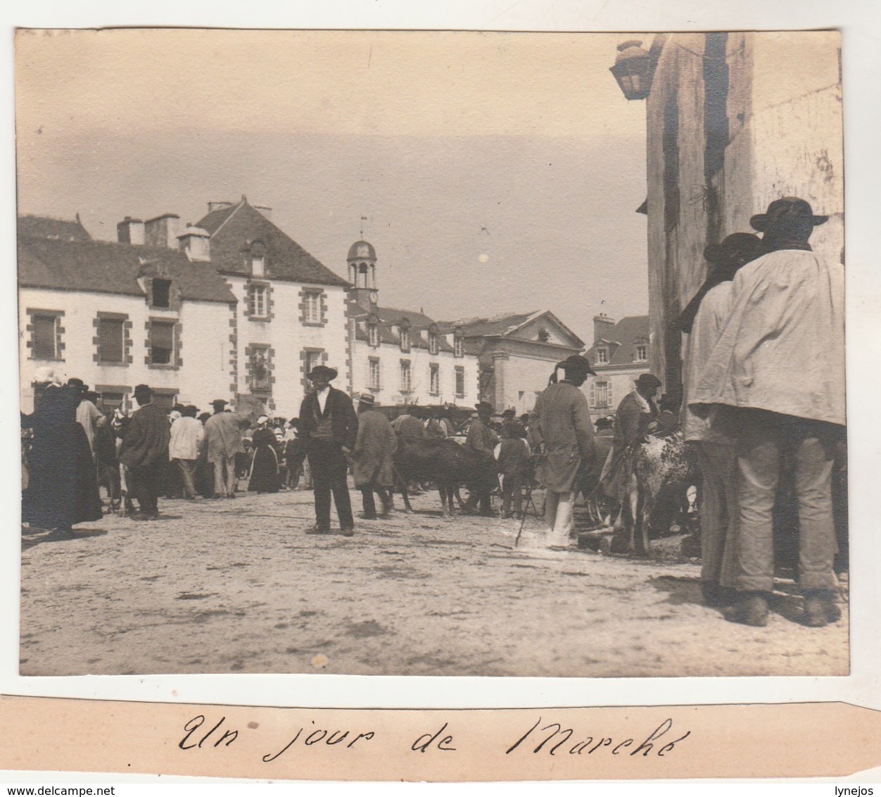 56 :  Muzillac Photographie Originale D'amateur   ( 1903 ) Jour De Marché - Plaatsen