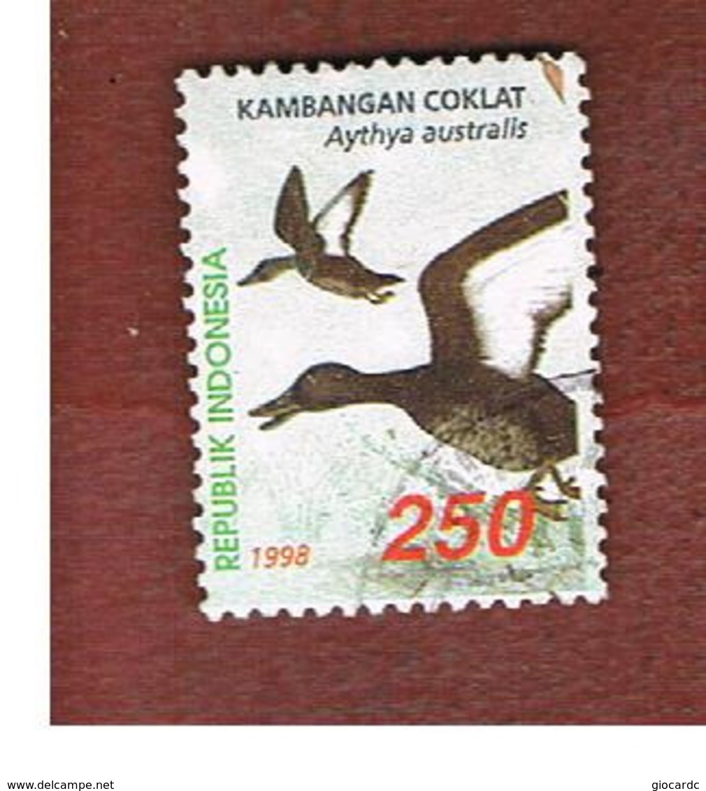 INDONESIA   - SG 2468    -    1998  WATERFOWL: AYTHYA AUSTRALIS  - USED ° - Indonesia