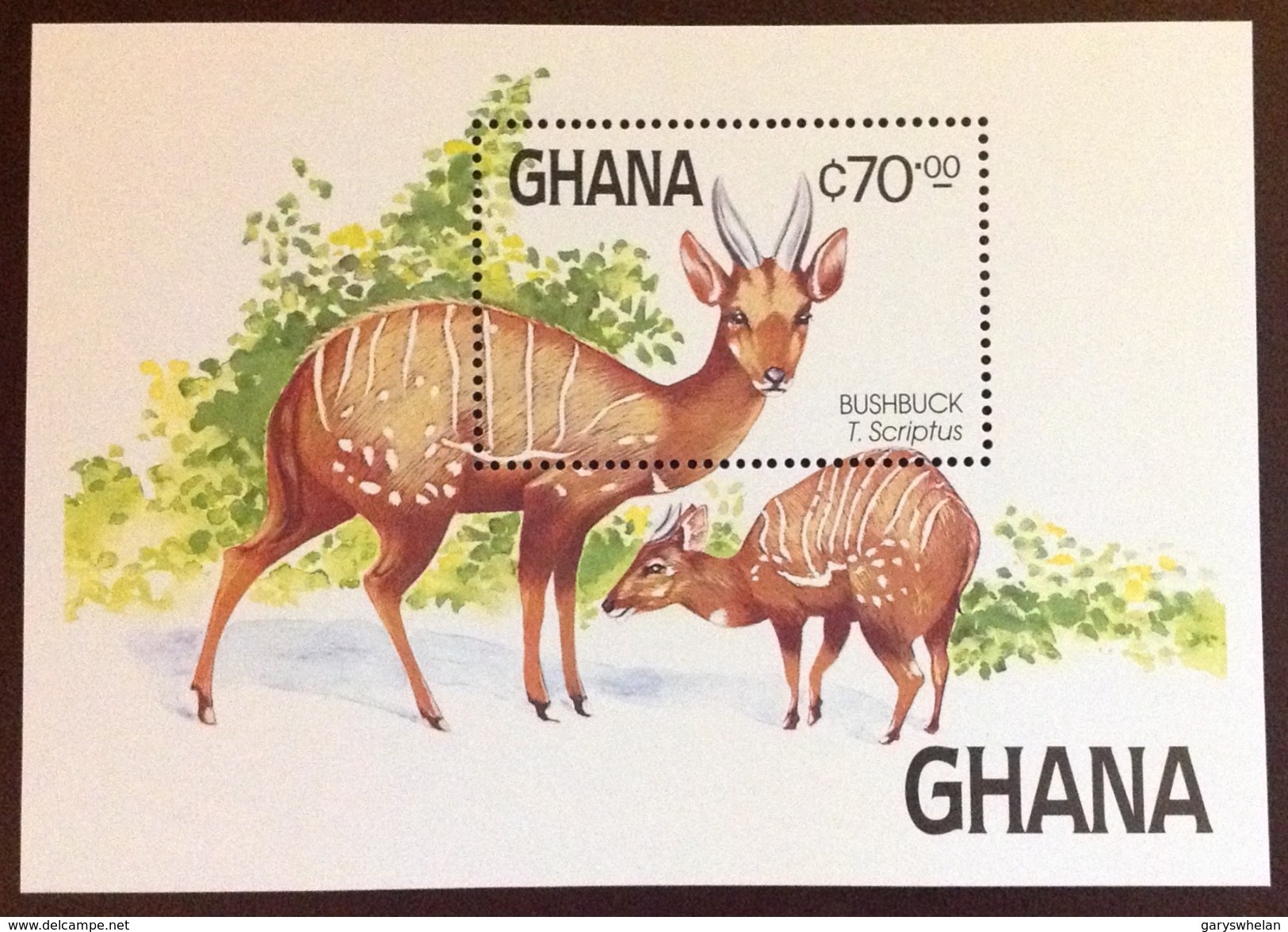 Ghana 1984 Animals Bushbuck Minisheet MNH - Autres & Non Classés