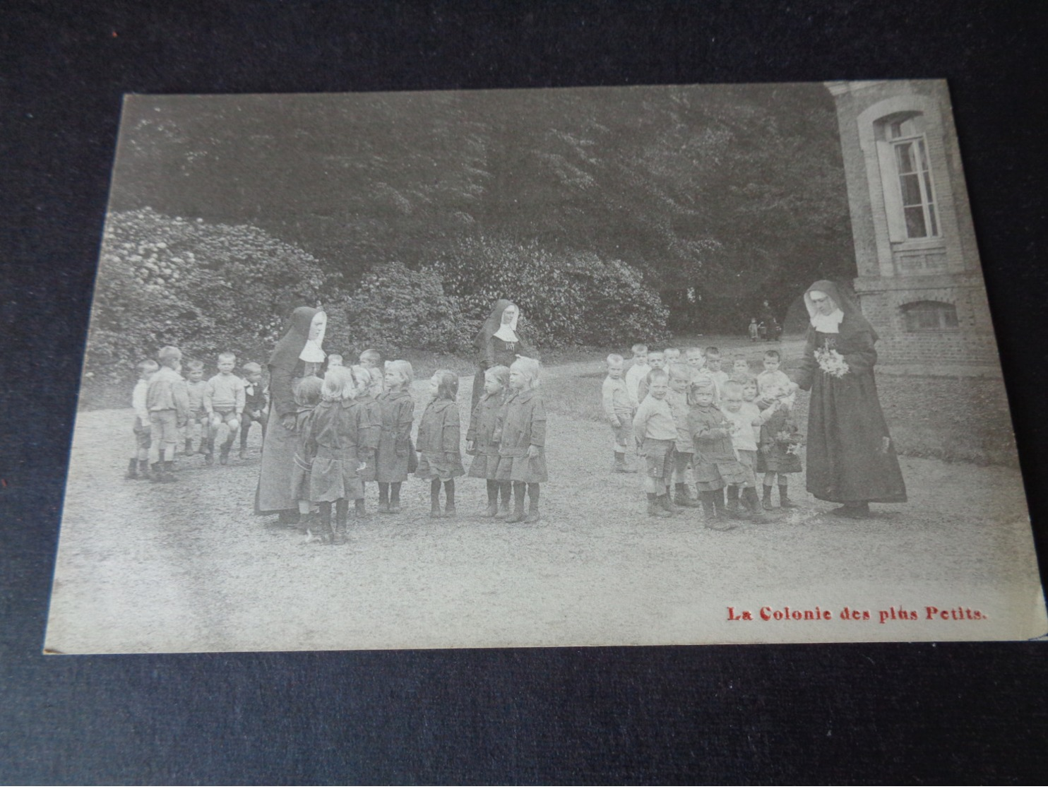 Belgique  België  ( 949 )  Ministère De L' Intérieur De Belgique - Colonies Scolaires Des Enfants De L' Yser - Altri & Non Classificati