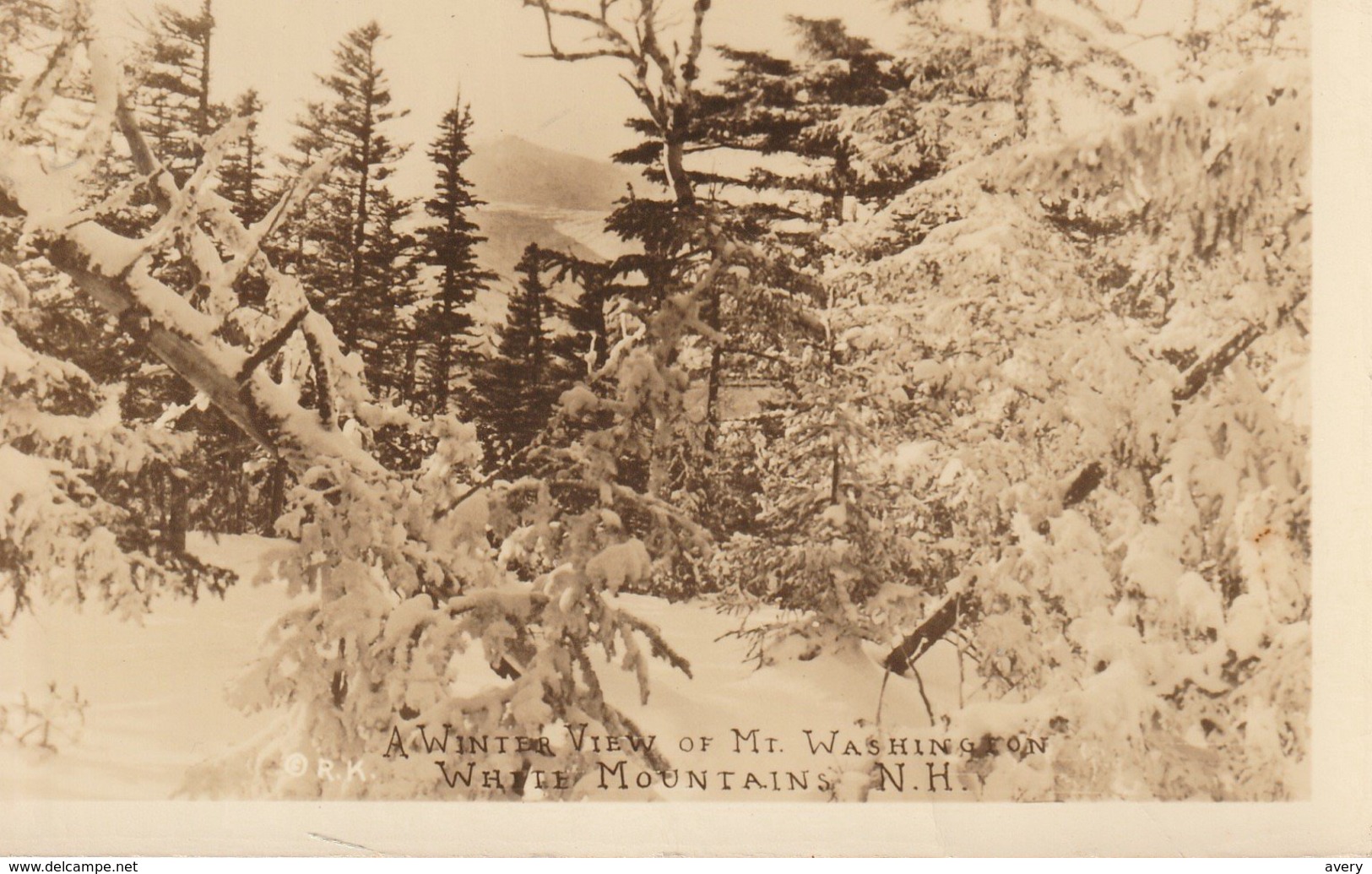 A White View Of Mount Washington, White Mountains, New Hampshire  R. P. P. C. - White Mountains