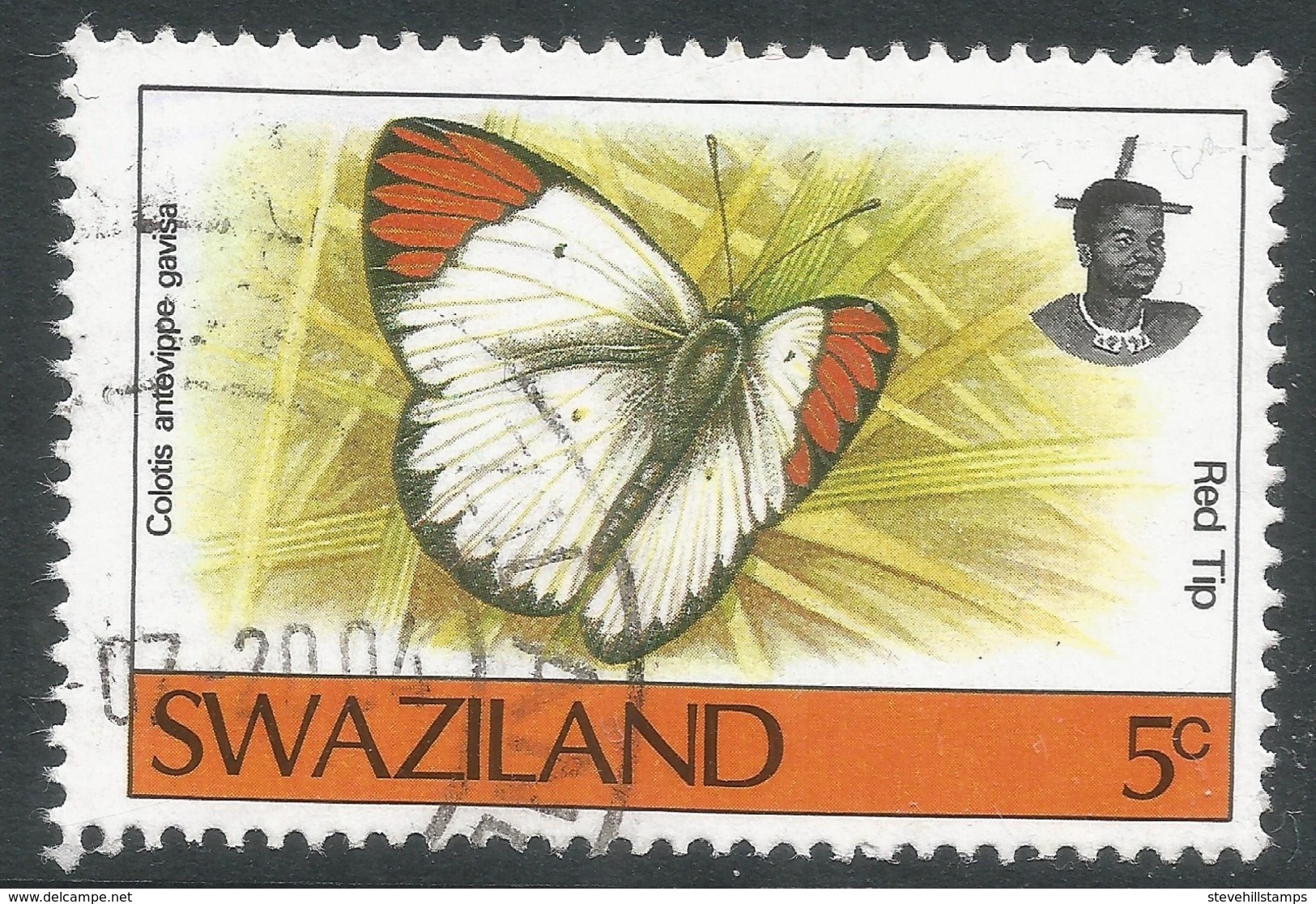 Swaziland. 1992 Butterflies (2nd Series). 5c Used. SG 606 - Swaziland (1968-...)