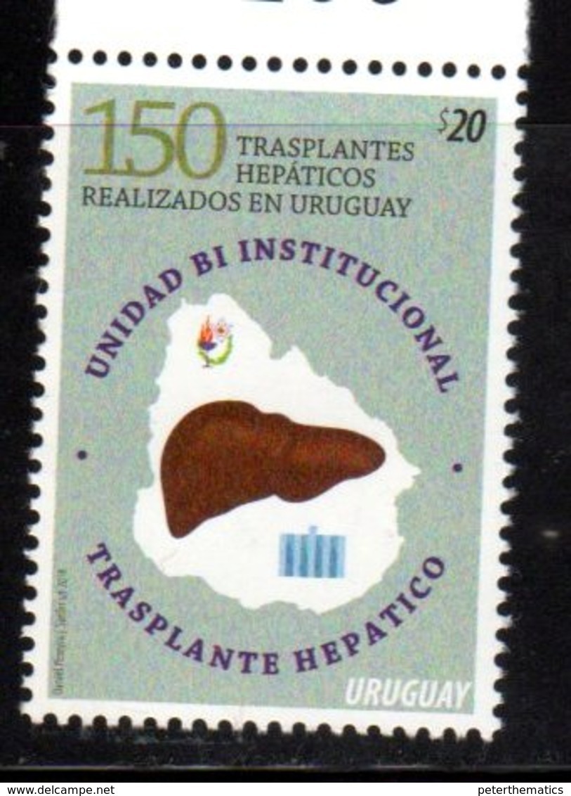 URUGUAY, 2018, MNH, MEDICINE, LIVER TRANSPLANTS, 150 LIVER TRANSPLANTS PERFORMED IN URUGUAY,1v - Medicine