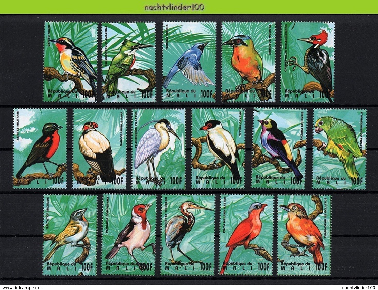 Nff074 FAUNA VOGELS KINGFISHER WOODPECKER HERON PARROT BIRDS VÖGEL AVES OISEAUX QWMA 1995 PF/MNH - Sonstige & Ohne Zuordnung