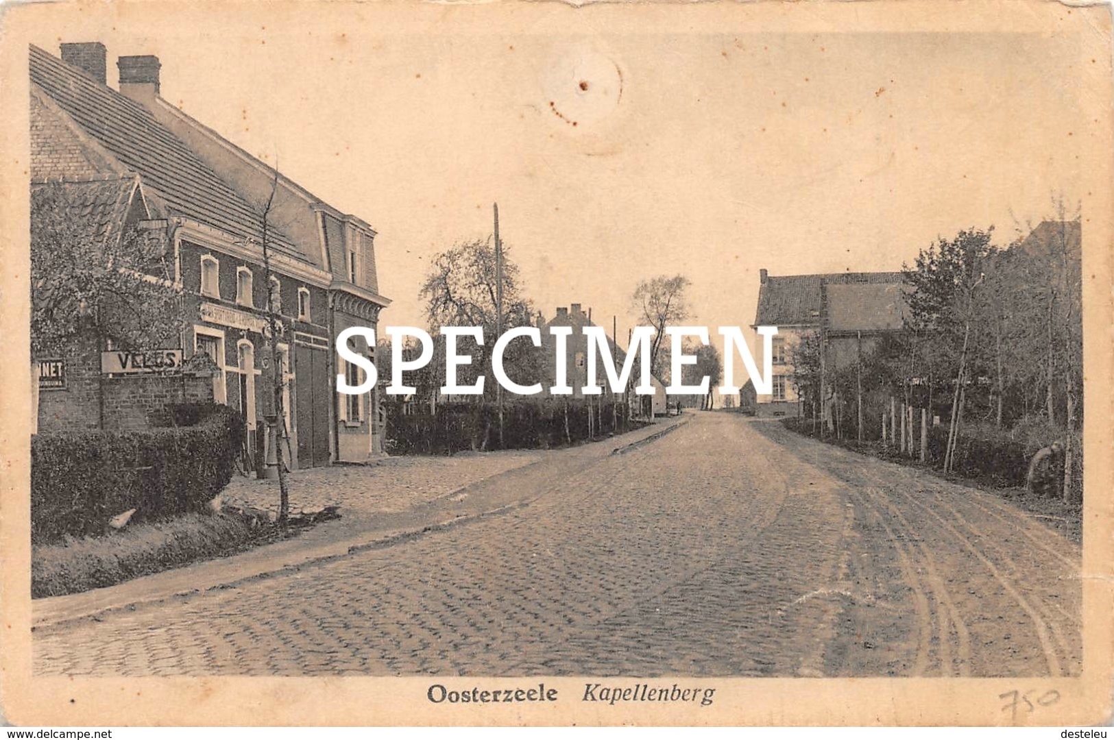 Kapellenberg - Oosterzele - Oosterzele