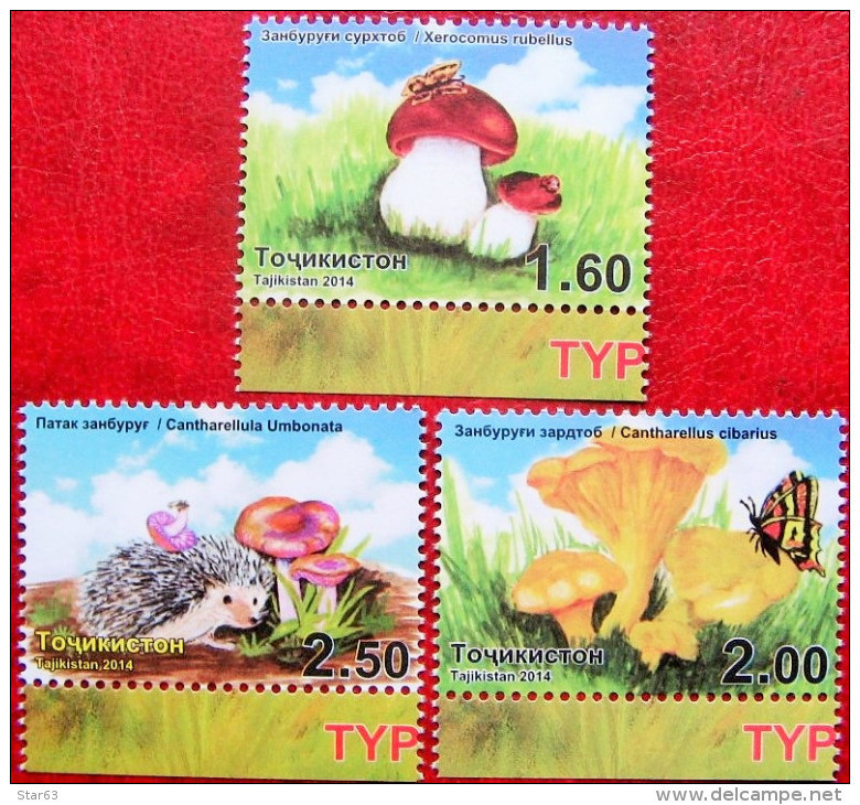 Tajikistan  2014  Mushrooms  Butterflies, Insects, Hedgehog   3v  MNH - Tadjikistan