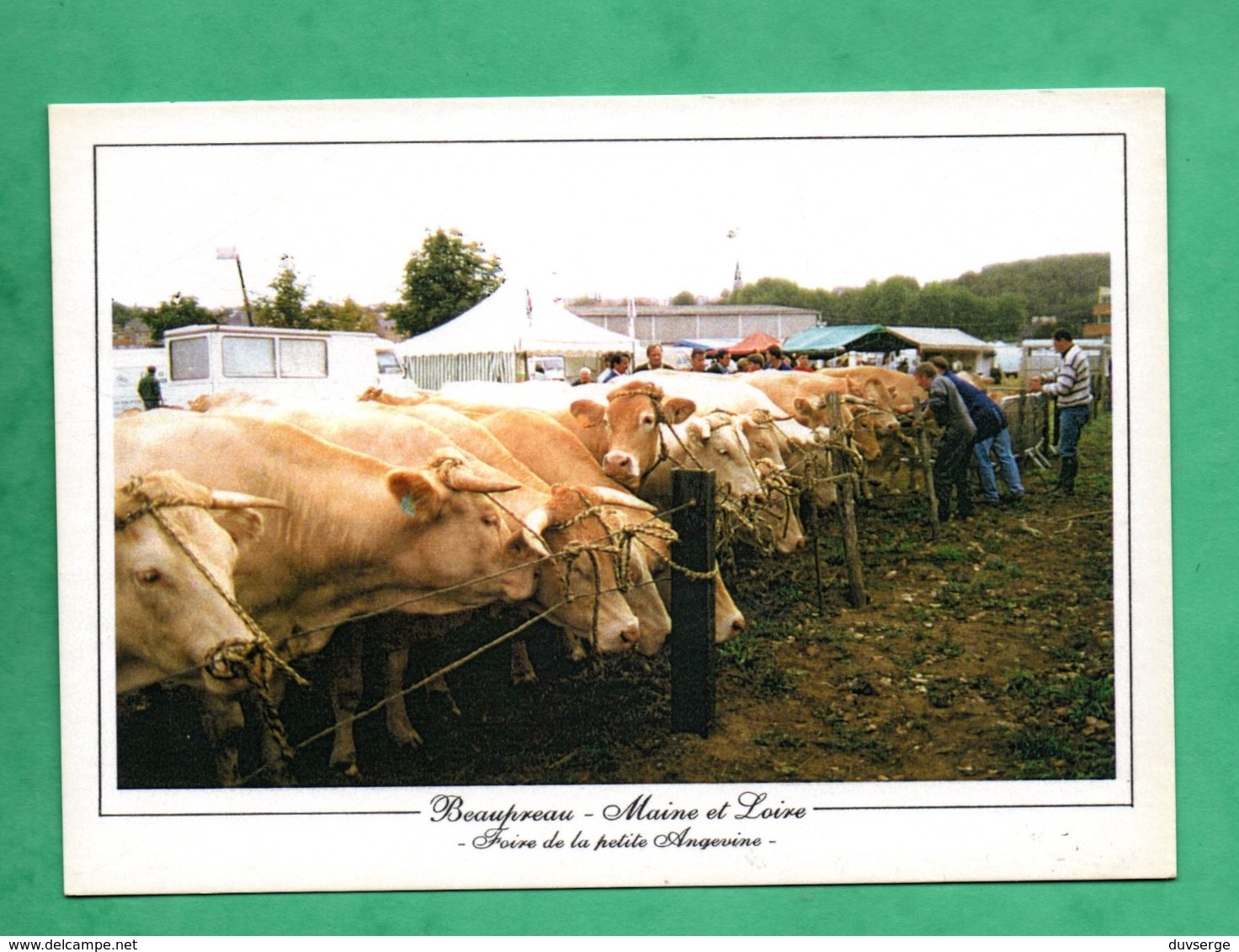 49 Maine Et Loire Candé Beaupreau Foire De La Petite Angevine - Autres & Non Classés