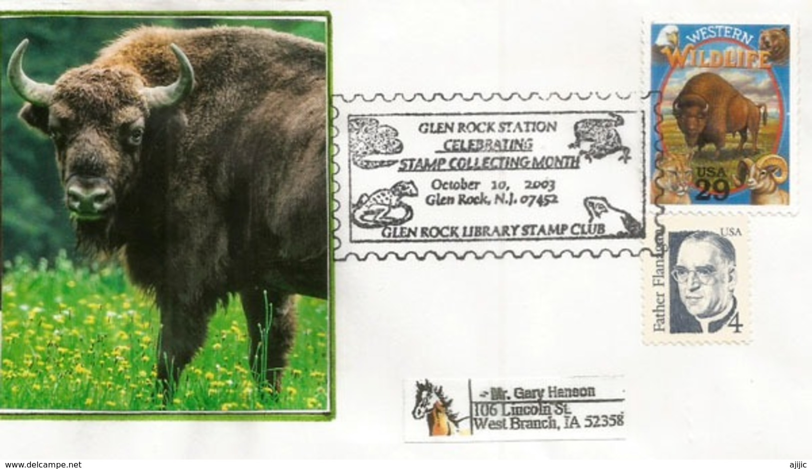 Western Wildlife. Bison D'Amérique, Sur Lettre USA. Glen Rock Stamps Thematic Collection (New-Jersey) Postmark - Sonstige & Ohne Zuordnung