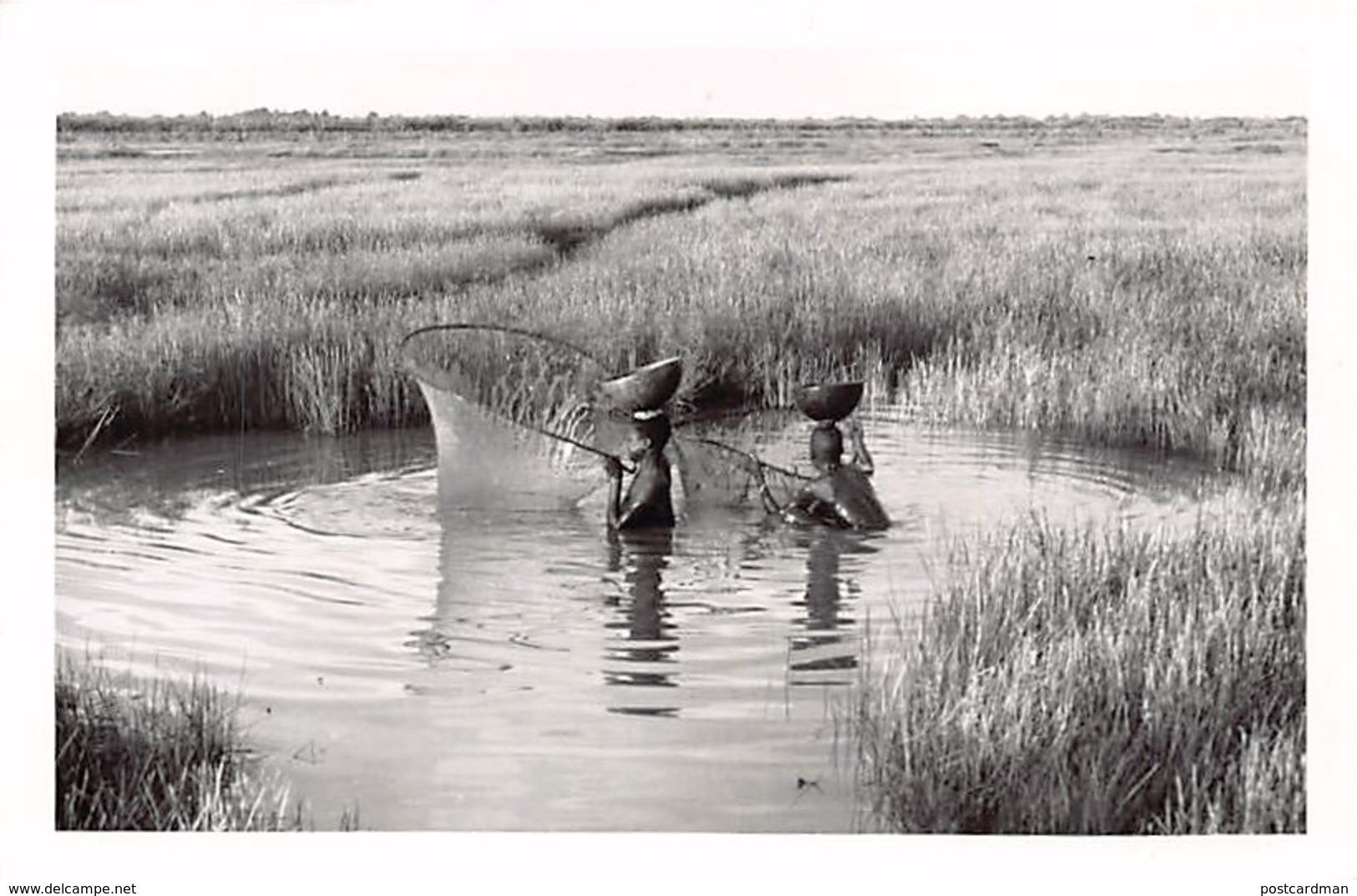 Guinea Bissau - Women Fishing - REAL PHOTO Foto Serra 42. - Guinea-Bissau