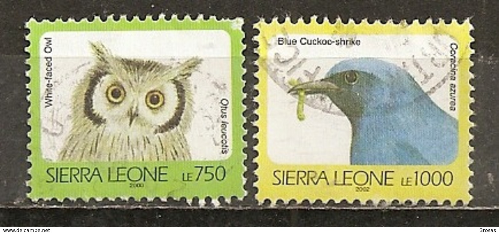 Sierra Leone 2000/2 Oiseaux Birds Avec Hibou Owl Obl - Sierra Leone (1961-...)