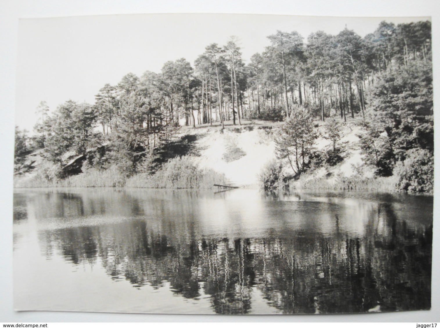 Halbe  Waldsee 2 - Koenigs-Wusterhausen